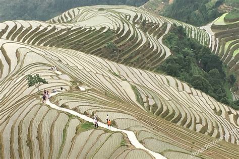huangluo village